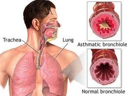 Deep Breathing