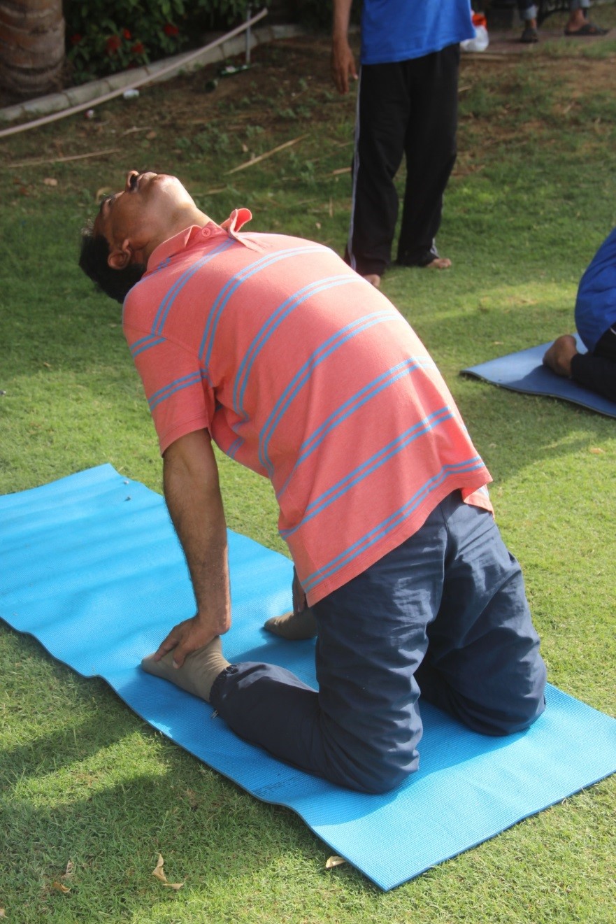 Camel Pose