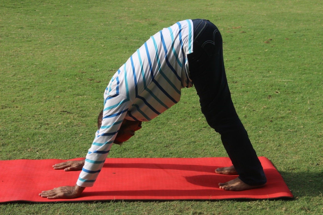 Downward Facing Dog
