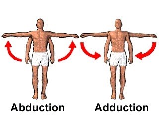 Internal & External Rotation