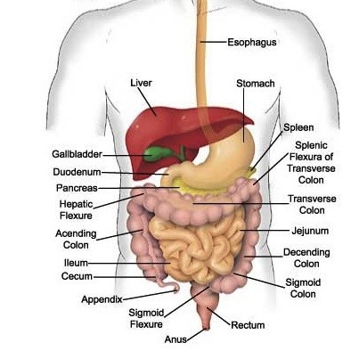 Gastritis