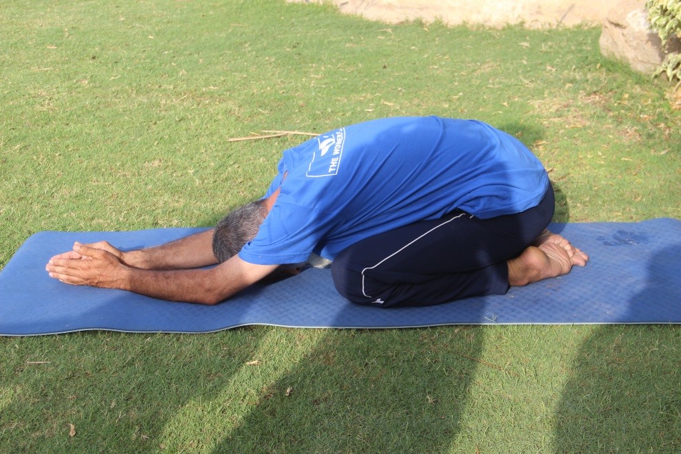 Half Tortoise Pose