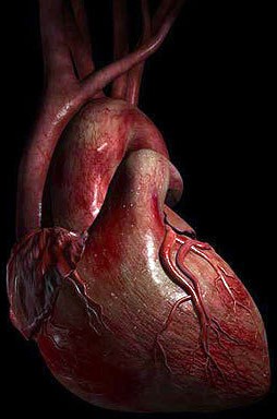 Heart Exercise