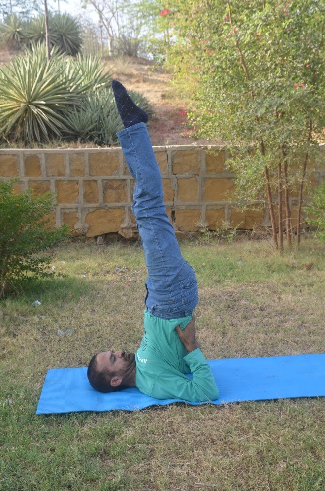 Shoulder Stand