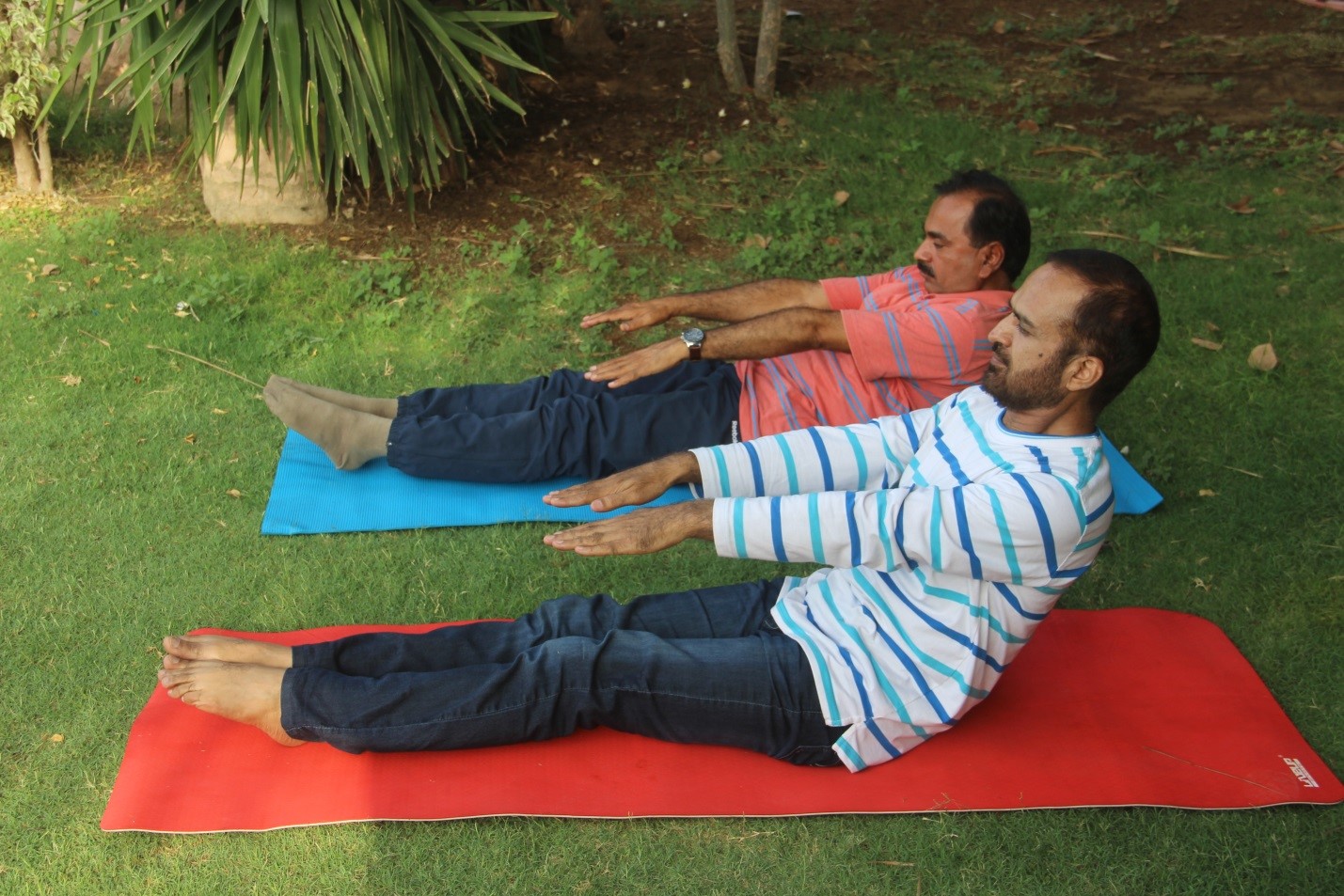 Sit-Up