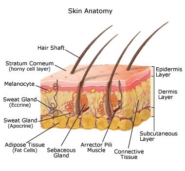 Skin Care